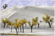 Cold Desert of Skardu Pakistan