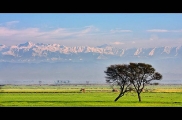 Headmarala , Sialkot