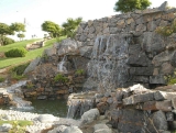 image009