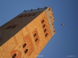Mosque in Chile