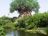 Mysterious Tree 01