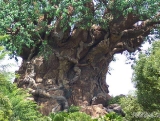 Mysterious Tree 04